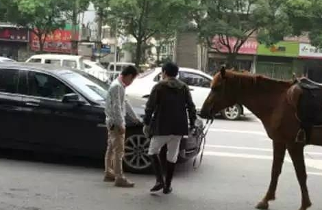 真马怒踢宝马 按喇叭也要分情况 1