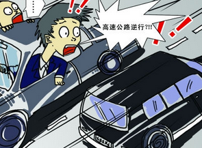 女司机突发精神病高速路逆行 1